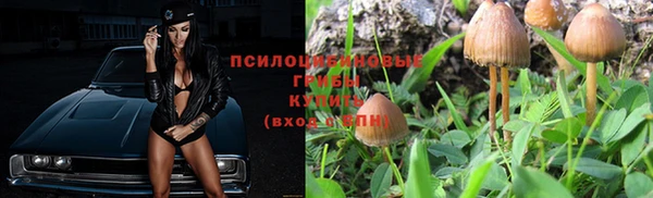 Альфа ПВП Волосово