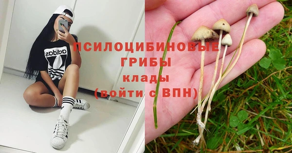 не бодяженный Волоколамск
