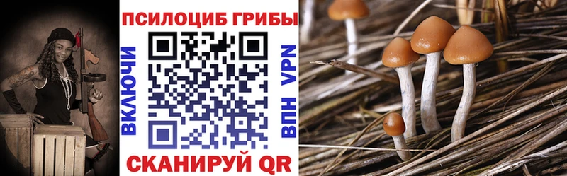 хочу наркоту Касимов Псилоцибиновые грибы мицелий